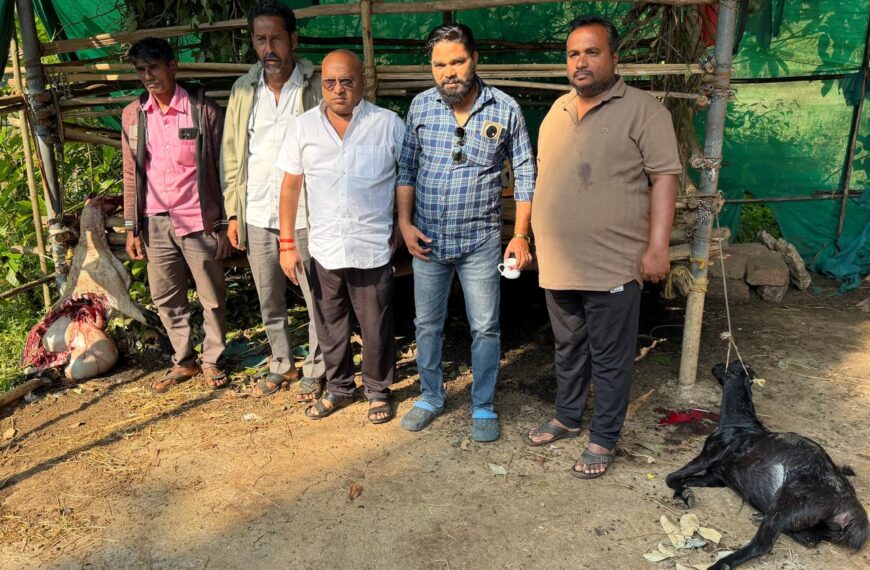 बिबट्याच्या हल्ल्यात नेरूर-दुर्गवाड येथे दोन बकऱ्या मृत्युमुखी