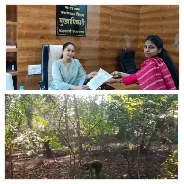 खाजगी जागेत साफसफाई करण्यासाठी नगरपंचायत कर्मचारी कुणी पाठवले?