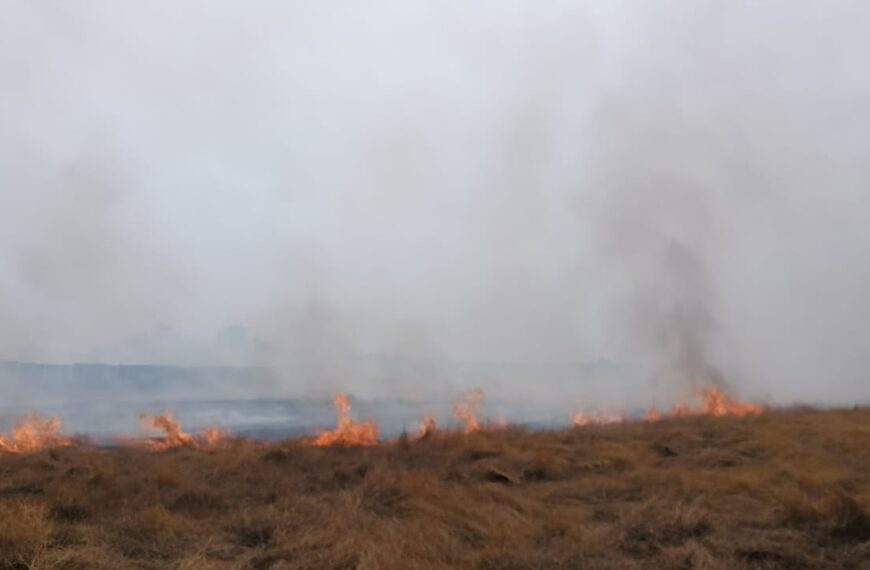 म्हापण-मळई येथे माळरानावर लागलेल्या आगीत ३५ एकर क्षेत्र बाधित