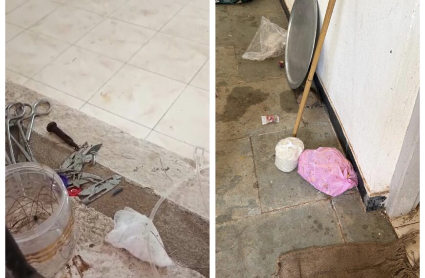 कणकवली नगरपंचायतची कुत्र्यांची नसबंदी मोहीम कायद्याच्या कचाट्यात