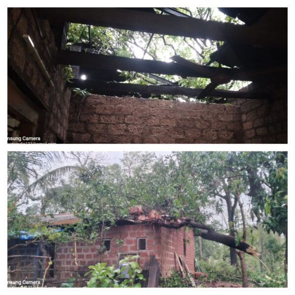 चक्रीवादळाने कणकवली तालुक्‍यात ५४ लाखाचे नुकसान