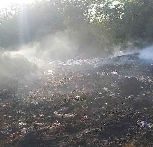 सांगिर्डेवाडी कचरा डेपोला पुन्हा आग!