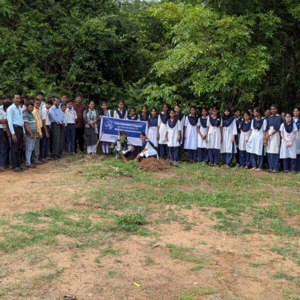 न्यू इंग्लिश स्कूल आचरा येथे वृक्षारोपण