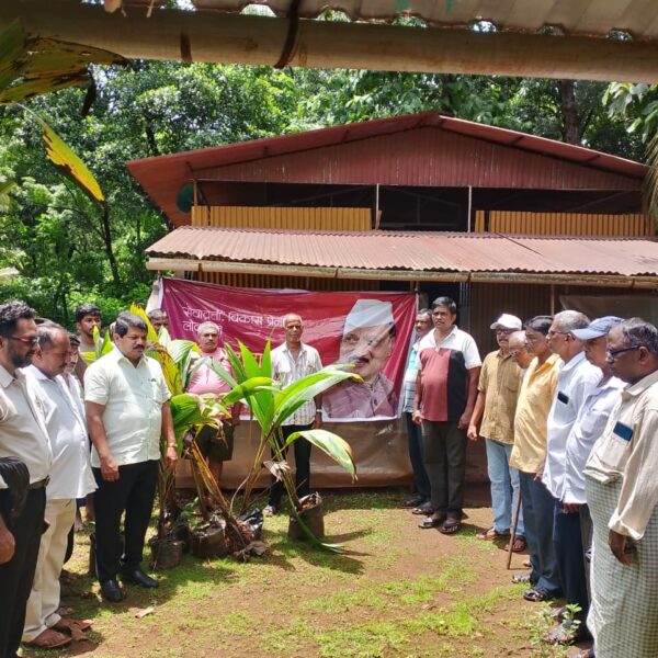 स्व. अजित दादा पवार यांच्या जयंती निमित्त 200 नारळ रोपांचे वाटप