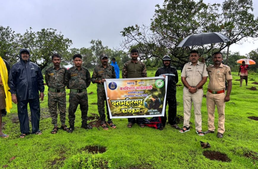 कॅन्सरवर उपयुक्त ‘नरक्या’ च्या ७०० रोपांची नेरूर वनक्षेत्रात लागवड